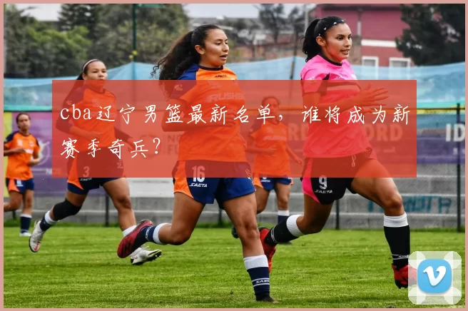 cba辽宁男篮最新名单,谁将成为新赛季奇兵?