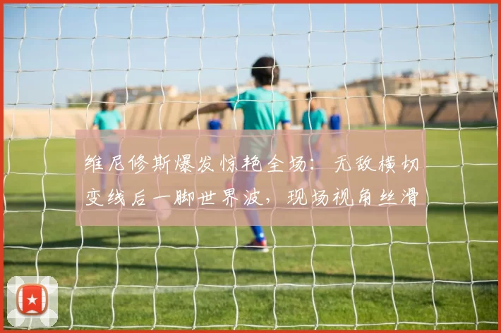 维尼修斯爆发惊艳全场：无敌横切变线后一脚世界波，现场视角丝滑耀眼_本菲卡_皇家马德里_欧冠