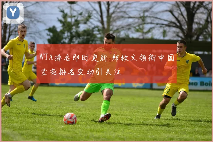 WTA排名即时更新 郑钦文领衔中国金花排名变动引关注