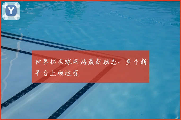 世界杯买球网站最新动态,多个新平台上线运营