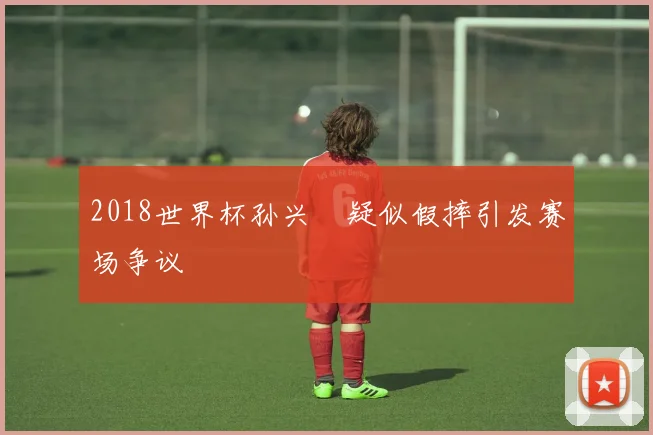 2018世界杯孙兴慜疑似假摔引发赛场争议