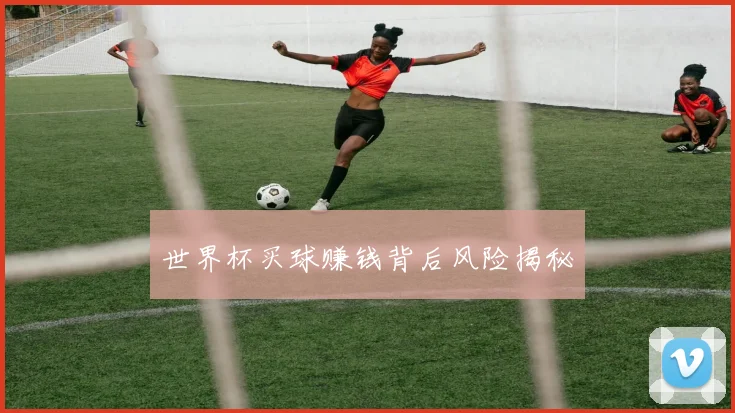 世界杯买球赚钱背后风险揭秘
