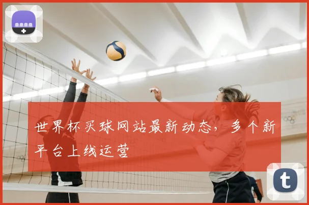世界杯买球网站最新动态，多个新平台上线运营