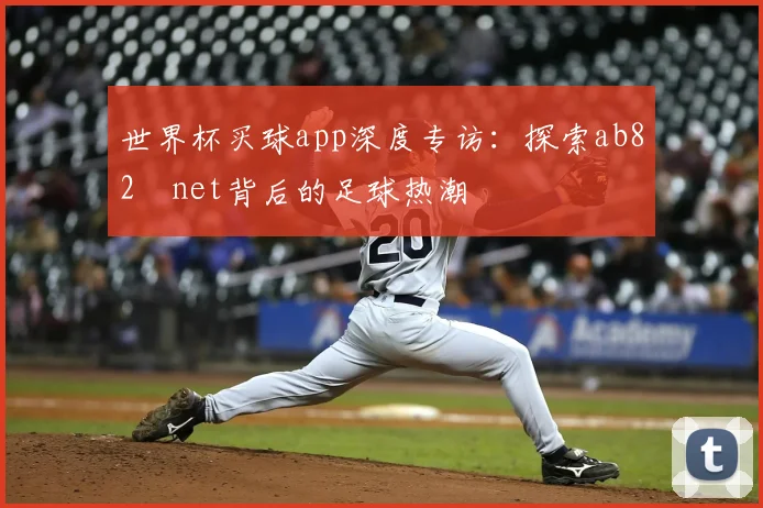 世界杯买球app深度专访：探索ab82婰net背后的足球热潮