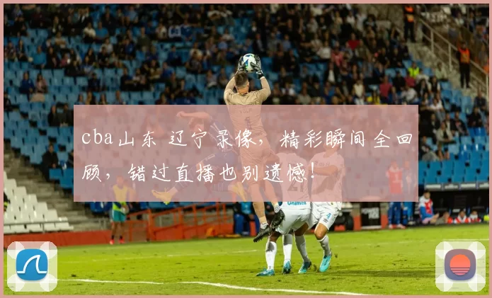cba山东 辽宁录像,精彩瞬间全回顾,错过直播也别遗憾!