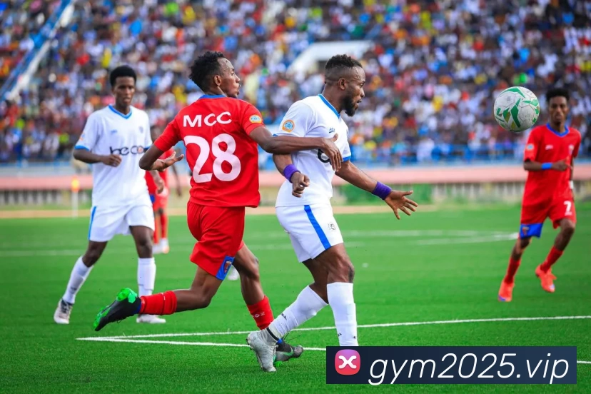 Kaiyun开云·官方版在线入口 - kaiyun(中国)平台生态图