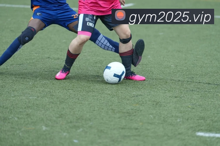 Kaiyun开云·官方版在线入口 - kaiyun(中国)全站App