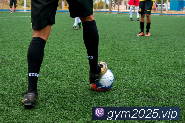 辅助工具 辅助工具